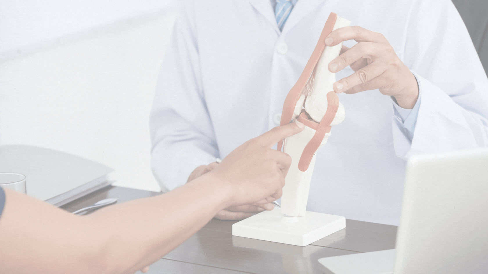 Rheumatologist near Calverton, NY