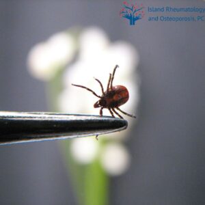 Lyme Disease Specialist Long Island